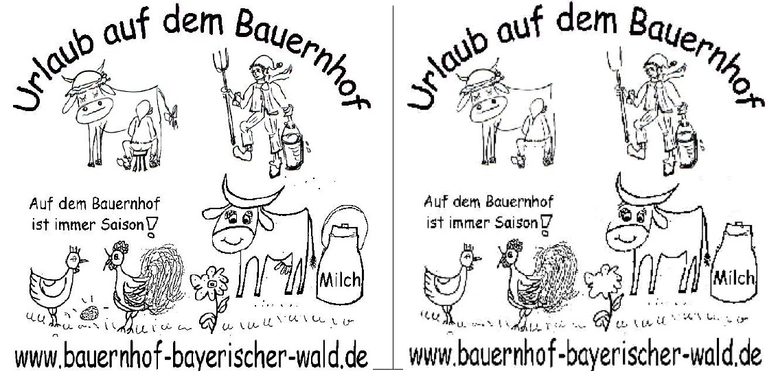 Bauernhof Bilderrätsel kostenlos Fehlersuchbild für Bauernhofurlaub Tiere